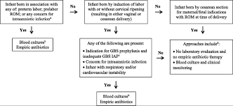 Image result for Group B Streptococcus Prophylaxis