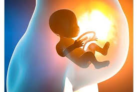 Keguguran dalam bahasa medis disebut juga abortus spontan. Inilah Tanda Keguguran Tanpa Pendarahan Yang Perlu Diwaspadai