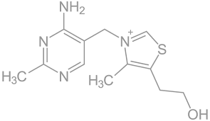 Strukturformel allgemeines name thiaminhydrochlorid andere namen vitamin b1 thiamin ist eine andere bezeichnung für vitamin b1. Dr Owl Inhaltsstoffe Acceleraid