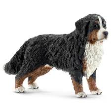 Im englischsprachigen raum wird er bernese mountain dog genannt. Schleich 16397 Berner Sennenhundin Minifigur Real De