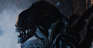 In its most iconic scene, a character is killed after an alien burrows out of his chest, shooting blood everywhere. Why Aliens Is Even Better Than Alien Far Flungers Roger Ebert