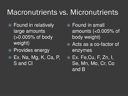 Micronutrients required by plants include zinc (zn), iron (fe), manganese (mn), copper (cu), boron (b), molybdenum (mo), and chlorine (cl). Ppt Micronutrients And Macronutrients Powerpoint Presentation Free Download Id 3663263