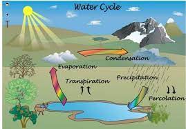 Check spelling or type a new query. 31 Download Gambar Poster Dampak Siklus Air Bagi Kehidupan Terbaru Homposter