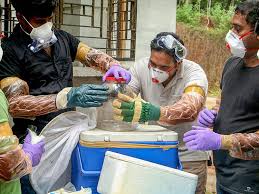 Niv symptoms and signs include vomiting, muscle aches, fever, headache. Nipah Virus This South Indian State Is In Panic Mode India Gulf News