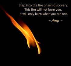 The alchemist by paulo coelho. Michael The Alchemist Mooji Quotes Self Discovery Spiritual Quotes