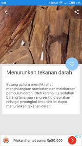 Gelang kayu gaharu zebra super king 12 mm kami bua dari bahan kayu gaharu super dari kalimantan jenis gaharu zebra dengan kualitas terbaik (grade a), butiran mulus, berserat unik, dan kayu sangat padat (tenggelam di air). Manfaat Kayu Gaharu Fur Android Apk Herunterladen