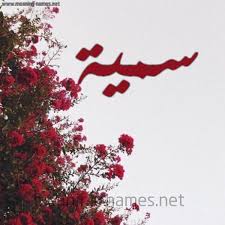 سمية شكل 18 صوره الورد الأحمر للإسم بخط رقعة كتابة على الورد 2021