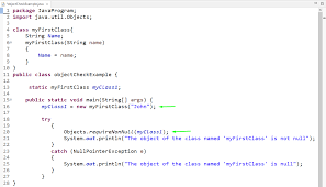 How To Check If An Object Is Null In Java