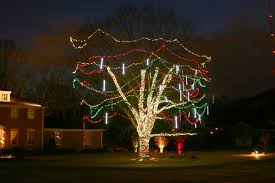 Outdoor Lighting Perspectives