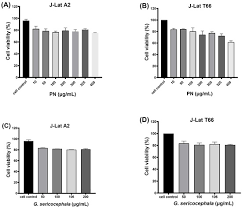 Image result for Gnidia sericocephala