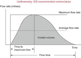 Noninvasive Urodynamics Springerlink