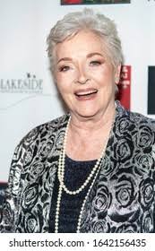 530+ Thousand "arts Culture Entertainment" Royalty-Free Images, Stock  Photos & Pictures