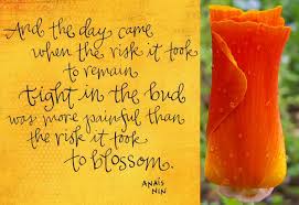 Massive Inspirational Image Quote By Anais Nin