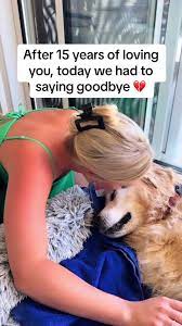 Dog That Died and Kept Her Feet Warm | TikTok