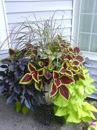 Full sun container plant ideas. 40 Diy Flower Garden Planter And Container Ideas Simphome Container Gardening Flowers Container Gardening Vegetables Container Plants