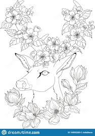 Don't be shy, get in touch. Drawing Deer With Magnolia And Apple Blossom In Zentangle Style For Adult Coloring Pages Stock Vector Illustration Of Beautiful Leaves 148692280