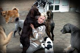 Als ik de hond uitlaat, maak. Breda Houdt Poot Stijf 37 Honden In Plaats Van De Toegestane 10 Dat Wordt Betalen Cru En Onmenselijk Breda Bndestem Nl