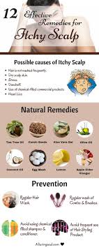 Apply the solution thoroughly on your scalp. Diy Hair Care Tips Remedies For Itchy Scalp Itchy Scalp Can Be Embarrassing And Frustrating Becau Beauty Haircut Home Of Hairstyle Ideas Inspiration Hair Colours Haircuts Trends