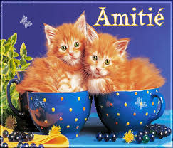 RÃ©sultat de recherche d'images pour "gif avec toute mon amitiÃ©"