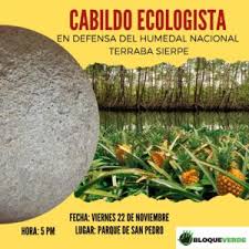Periódicos diarios de costa rica. Setena Insiste En Dar Luz Verde A Pinera Que Afectara Humedal Terraba Sierpe Semanario Universidad