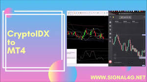 Contents zebra strategy trade management is the zebra like a ratio spread? Crypto Idx Binomo Chart Trading Forex