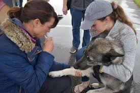 Given the community's low vaccination rate, san antonio tends to see an increased. Mobile Veterinary Clinic Visits Heights Killeen H E Bs Kdhnews Com