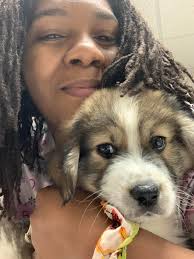 Lost Dog in Cotter, Arkansas