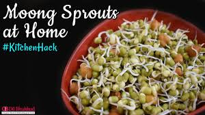 Sprouting mung beans at home is economical, hygienic and definitely comes with an added benefit of freshness. How To Make Sprouts At Home Homemade Sprouts Youtube