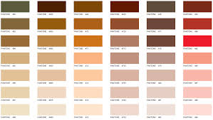 Pantone Brown Color Chart Www Bedowntowndaytona Com