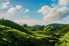 Cactus valley is really a place for cactus. Spacetraveller Activity Cameron Highlands Tour With