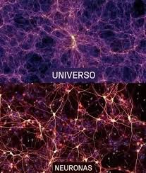 El cerebro y el universo: dos infinitos que se reflejan Dicen que el cerebro humano tiene más conexiones neuronales que estrellas hay en la galaxia. Cada sinapsis, como cada estrella, ilumina un