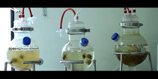 Cache adalah data bersifat sementara yang disimpan pada penyimpanan internal smartphone. Tvetmara