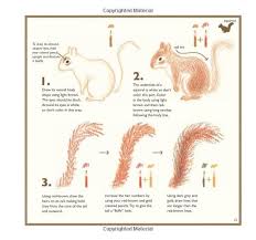 Check spelling or type a new query. Drawing Cute Animals In Colored Pencil Ai Akikusa 9781592539369 Amazon Com Books Illustration School Drawings Colored Pencils
