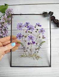We did not find results for: Framed Pressed Flowers Blue Decor Original Herbarium Dry Etsy Pressed Flowers Frame Flower Frame Flower Wall Decor