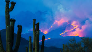 Currently 46 large fires have burned 691,067 acres in 12 states. Nearly 700 000 Acres Burned By 2020 Wildfires