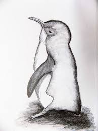 Drawing Of Penguin Pencil Sketch Graphite Drawing Original Etsy Graphite Drawings Penguin Sketch Drawings