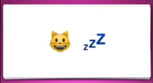 Guess The Emoji Cat And Zzz Sleep