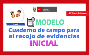 Producto descargable de primaria, cuadernillo de actividades matemáticas para primeros grados. Modelo De Cuaderno De Campo Para El Recojo De Evidencias Inicial Tus Materiales Docente