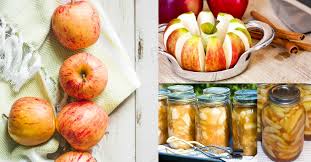 There are two types of clear gel, so be sure you get the cooking type clear gel for canning apple pie filling. Canning Easy Apple Pie Filling Recipe For Pies Crisps And Pancakes