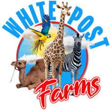 A petting zoo (also called a children's zoo, children's farm, or petting farm) features a combination of domesticated animals and some wild species that are docile enough to touch and feed. White Post Animal Farm Of Melville White Post Animal Farm Of Melville