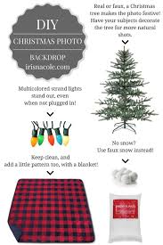 If you use the shapes that they make, your portraits will look personal and creative. Diy Christmas Photo Backdrop Idea