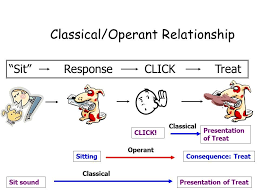 Operant Conditioning Encyclopedia Of Psychology Operant Conditioning Antisocial Personality Disorder Emotional Vampire