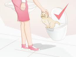 Corn, wheat, and walnut shell litters also get a thumbs up in the tracking department. How To Keep Cat Litter From Tracking 10 Steps With Pictures