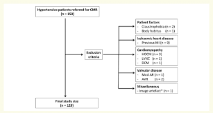 Study Flow Chart Image Artefact From An Implantable Loop