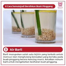 Salad mengkudu adalah resep selanjutnya dalam cara mengolah buah mengkudu. Suria Amanda 6 Cara Semulajadi Bersihkan Buah Pinggang