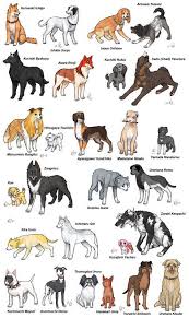 Bleach Dogs Chars I Love How There Are All These Big Dogs And Then You Look At Hitsugaya And He S This T Dog Drawing Tutorial Dog Drawing Cute Kawaii Animals