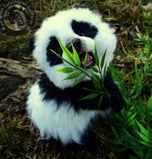 Cute Animals Hedgehog Cute Animals Png Animals Beautiful Animals Animals Wild