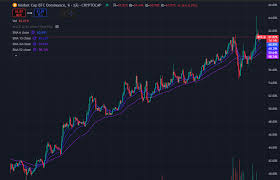 沙里淘金：寻找穿越牛熊的长线投资标的（2025版上篇） - Mint ...