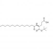 S)-5-(tert-butoxy)-5-oxo-4-palmitamidopentanoic Acid [L-Pal ...