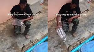 Tonton video pendek tentang #viralbotol di tiktok. Viral Video Tangkap Ular Kobra Dengan Botol Minum Bikin Deg Degan Hot Liputan6 Com